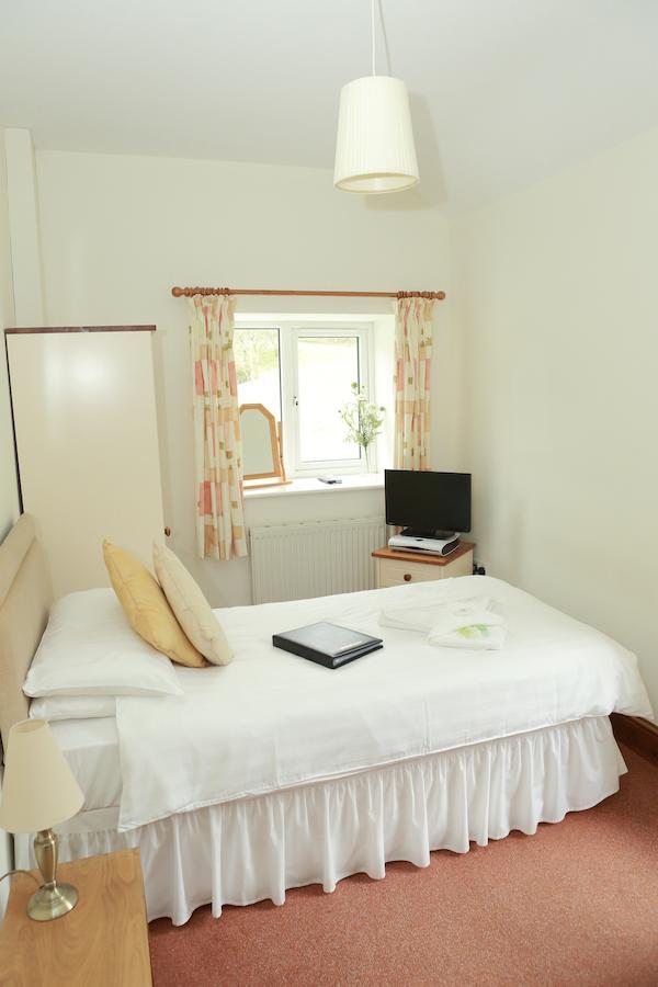 Bed and Breakfast The Dolgoch Bryn-crug Pokoj fotografie