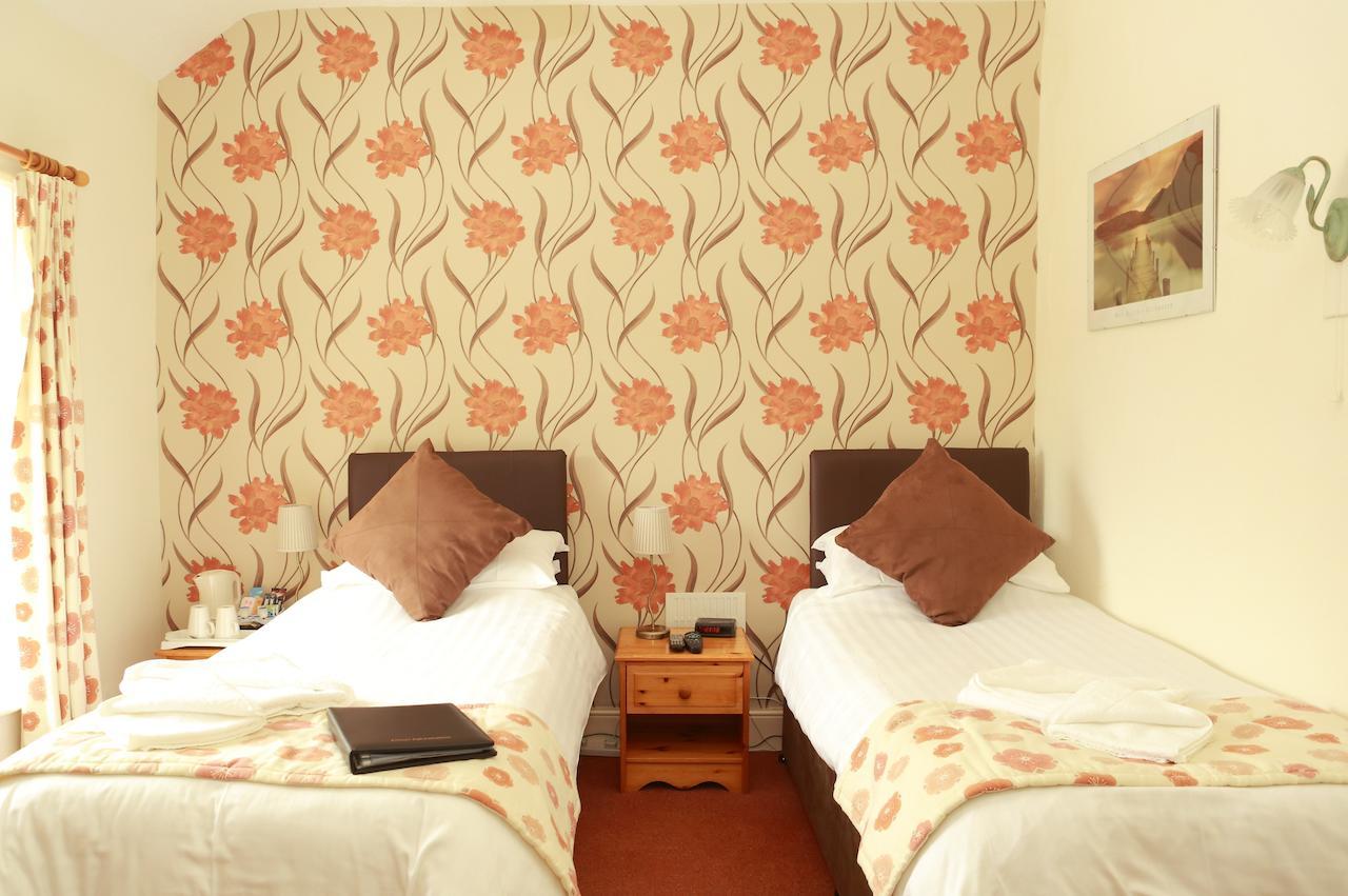 Bed and Breakfast The Dolgoch Bryn-crug Pokoj fotografie
